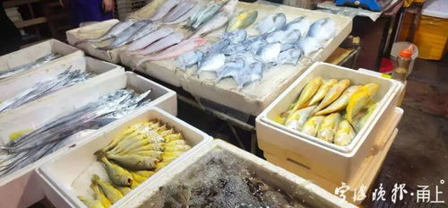 海鲜组合装价格跳水，消费者餐桌迎来“鲜”机