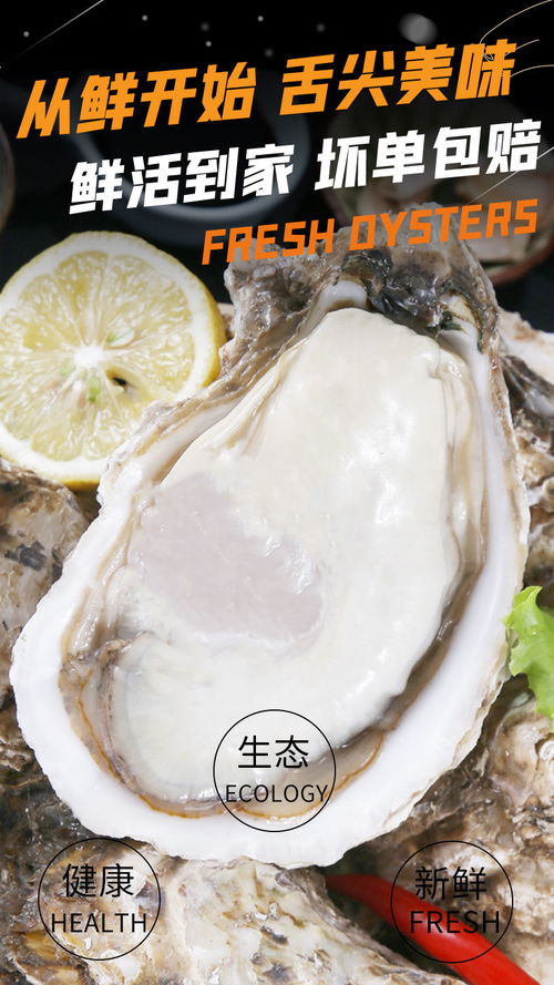 乳山鲜活生蚝 深海之味，新鲜直抵餐桌
